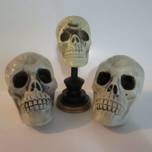 halloween plastic skull heads